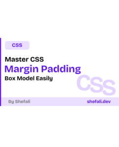 CSS Margin Padding and Box Model
