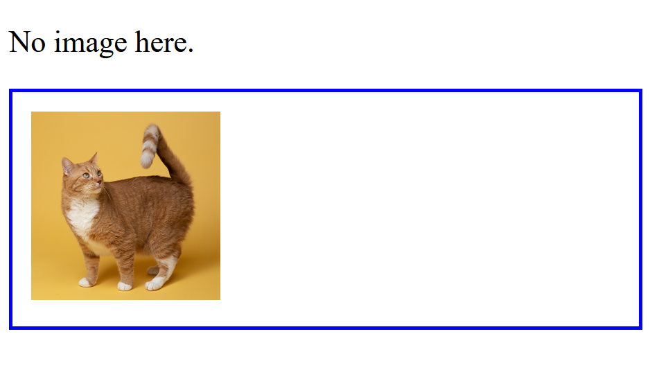 CSS :has() pseudo class