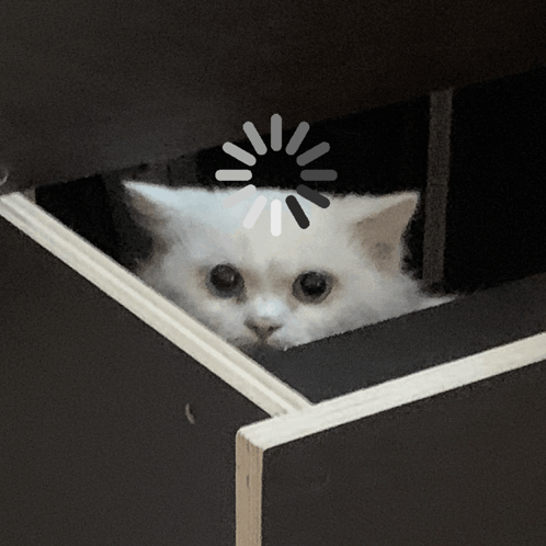 stupid loading reloading frozen